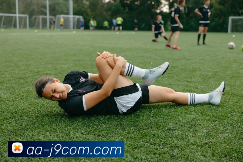 九游会官网APP 封面图